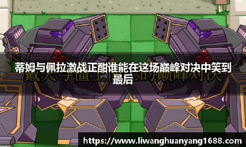 蒂姆与佩拉激战正酣谁能在这场巅峰对决中笑到最后